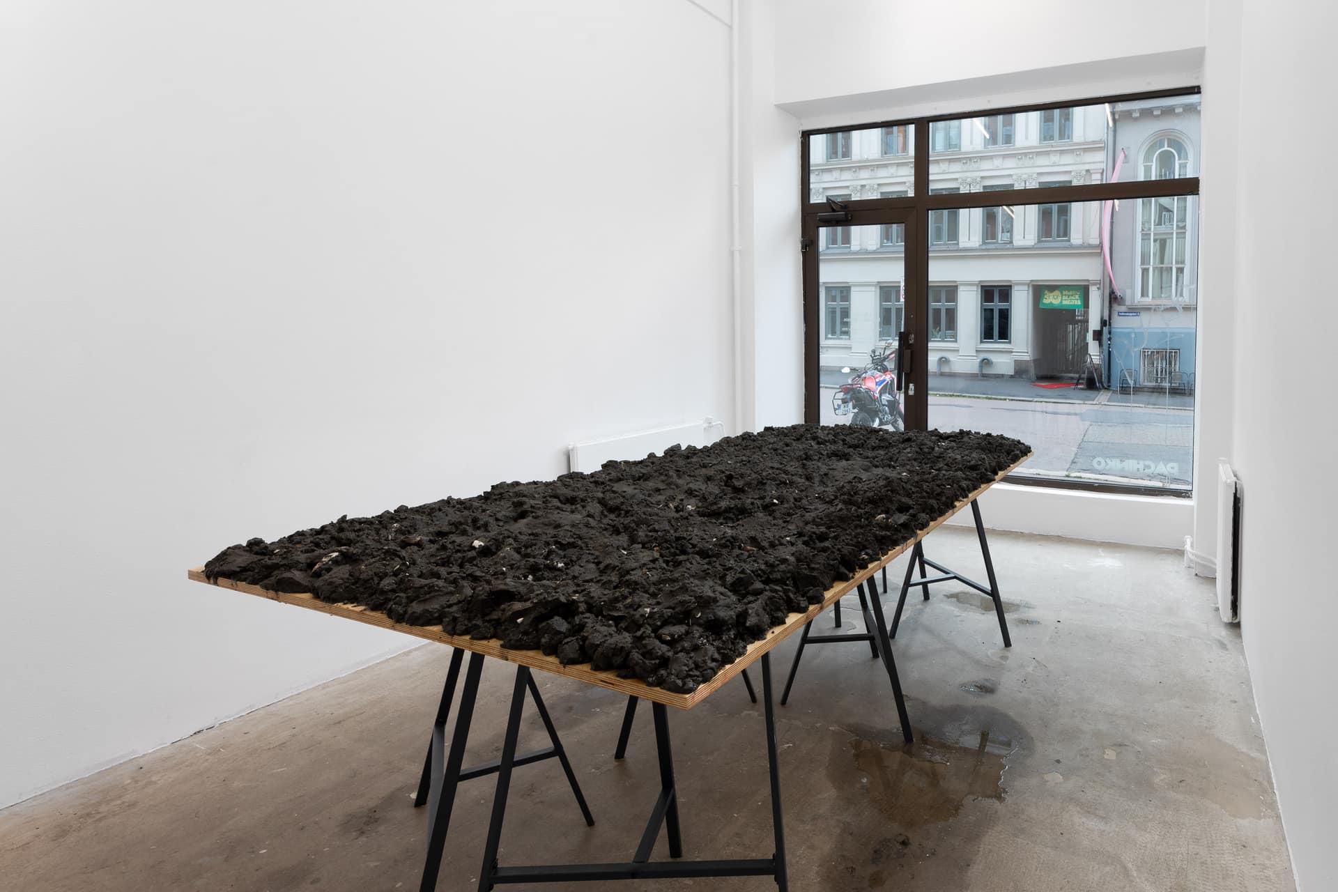 Francesco Cagnin, Life in Lie